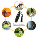 Electric Whistle with Lanyard Three Tone Distinct High Volume Outdoor Sport Whistle