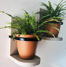 Hanging Wall Planter Wooden Hand Crafted Set of 2, Choice of Stain Color