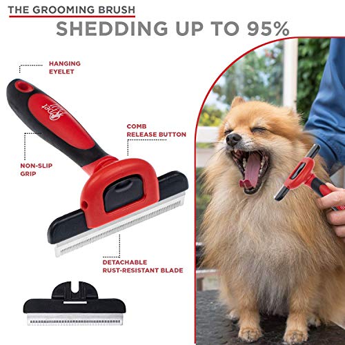 Complete Professional Pet Grooming Kit | Self Cleaning Slicker Brush for Dogs & Cats