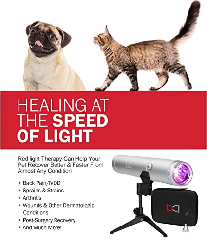 Red Light Therapy for Pets Infrared Light for Dogs and Pets - Rechargeable Device