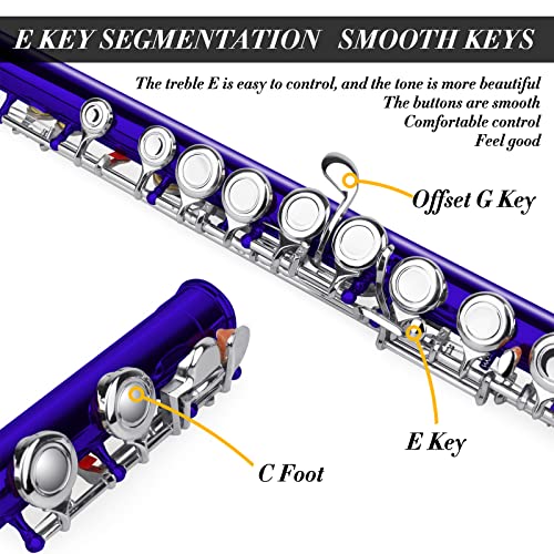 Closed Hole C Flutes - Musical Instrument Beginner Student Flute with Flute Case, Stand