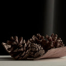Eau de Parfum Void Wood, Water-based Fragrance, Green Leaf, Jasmine & Cedarwood