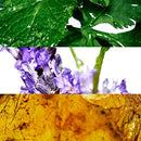 Davidoff Cool Water Edt Spray for Men, 6.7 oz