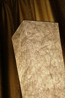 61" Soft Light Floor Lamp,LEONC RGB Color Changing LED Tyvek Fabric Shade