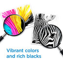 Original HP 67 Black/Tri-color Ink Cartridges (2 Count - Pack of 1) | Works with HP DeskJet