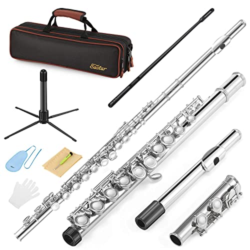 Closed Hole 16 Keys Flute for Beginner Kids Student Flute Instrument with Cleaning Kit