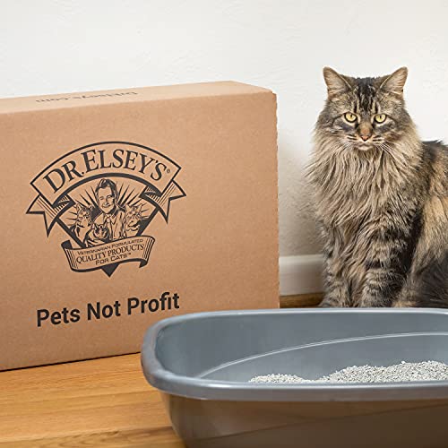 Cat Litter Ultra Uncented | 99.9% Dust-Free, Low Tracking, Hard Clumping, Superior Odor Control