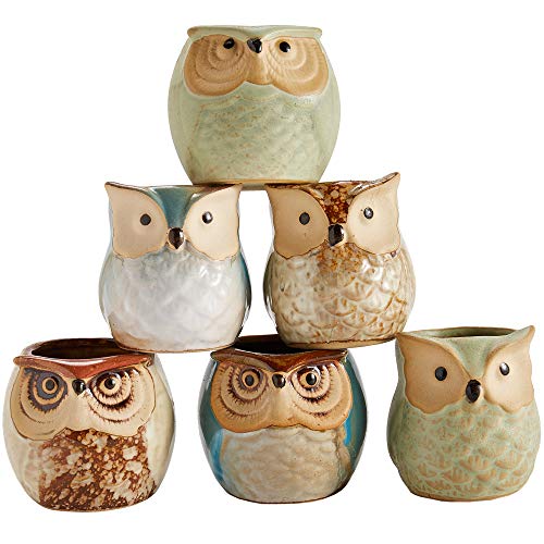 Owl Pot Ceramic Flowing Glaze Base Serial Set Succulent Plant Pot 6pcs