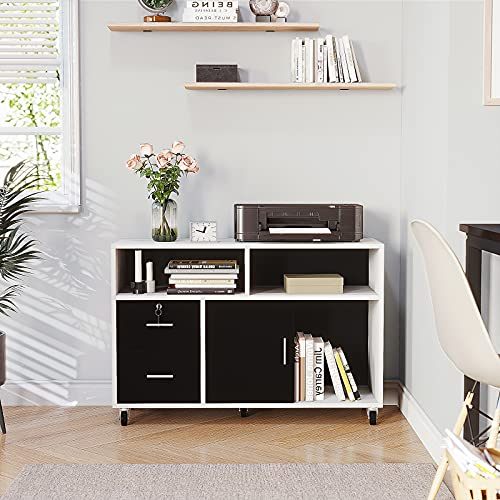 Wood File Cabinet, 2 Drawer Mobile Lateral Filing Cabinet