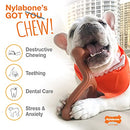 Nylabone Power Chew Textured Dog Chew Ring Toy Ring Flavor Medley X-Large/Souper (1 Count)