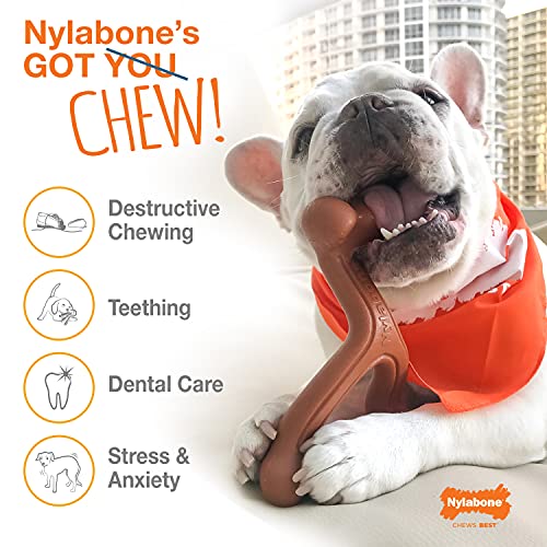 Nylabone Power Chew Textured Dog Chew Ring Toy Ring Flavor Medley X-Large/Souper (1 Count)