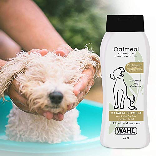 Dry Skin & Itch Relief Pet Shampoo for Dogs – Oatmeal Formula with Coconut Lime