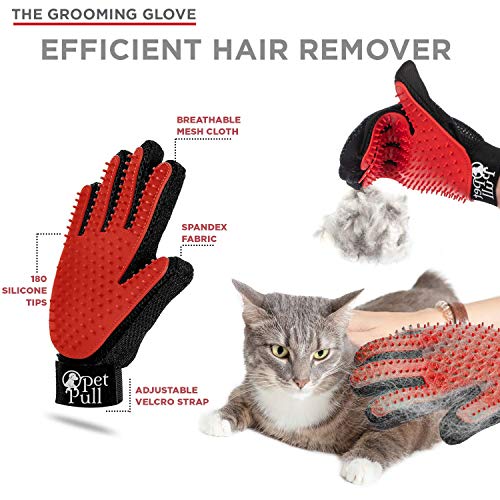 Complete Professional Pet Grooming Kit | Self Cleaning Slicker Brush for Dogs & Cats