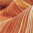 Curve for Men Cologne Spray, Spicy Woody Magnetic Scent for Day or Night, 4.2 Ounce