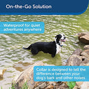 Rechargeable Bark Collar, 15 Levels of Automatically Adjusting Static Correction