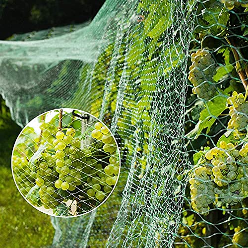 Bird Netting Garden Netting, Protect Plants and Fruit Trees from Birds and Wild Animals