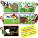 Sight Words Flash Cards with Pictures,Motions&Sentences, 220 Dolch Sight Words