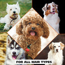 Dry Skin & Itch Relief Pet Shampoo for Dogs – Oatmeal Formula with Coconut Lime
