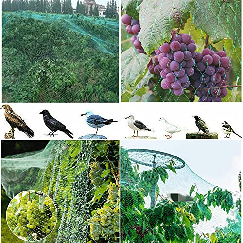 Bird Netting Garden Netting, Protect Plants and Fruit Trees from Birds and Wild Animals