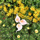 20pcs Pink Flowers Artificial Calla Lily Silk Flowers 13.4" for Home Kitchen Decorations