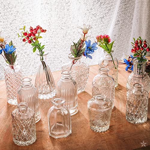 Glass Vase Bud Vase in Bulk Set of 12，Small Vintage Flower Bottle Petite Glass Flower Vase