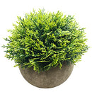 Mini Fake Cypress Cedar Plants for Bathroom Home Office Desk Decor