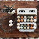 90 Egg Cartons- Printed with Blank Center for Your Custom Stamp