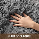 Machine Washable 3 x 5 Feet Rugs for Bedroom, Fluffy Shaggy Area Rug