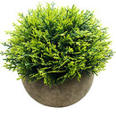 Mini Fake Cypress Cedar Plants for Bathroom Home Office Desk Decor