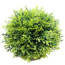 Mini Fake Cypress Cedar Plants for Bathroom Home Office Desk Decor