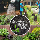 22,000 Non GMO Heirloom Vegetable Seeds, Survival Garden, Emergency Seed Vault,