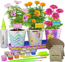 Paint & Plant Stoneware Flower Gardening Kit - Gifts for Girls & Boys