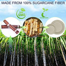 250Pcs Disposable Dinnerware Set, Compostable Sugarcane Cutlery Eco Friendly Tableware