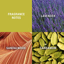 Curve for Men Cologne Spray, Spicy Woody Magnetic Scent for Day or Night, 4.2 Ounce