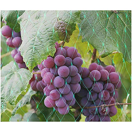 Bird Netting Garden Netting, Protect Plants and Fruit Trees from Birds and Wild Animals