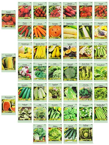 Set of 43 Assorted Vegetable & Herb Seeds - 43 Varieties - Create a Deluxe Garden