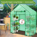Small Walk in Greenhouse for Outdoors with PE Cover and Roll Up Door