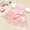 Baby Kids Girls Lace Bowknot Flower Dress Princess Dress Formal Party Tutu Dress