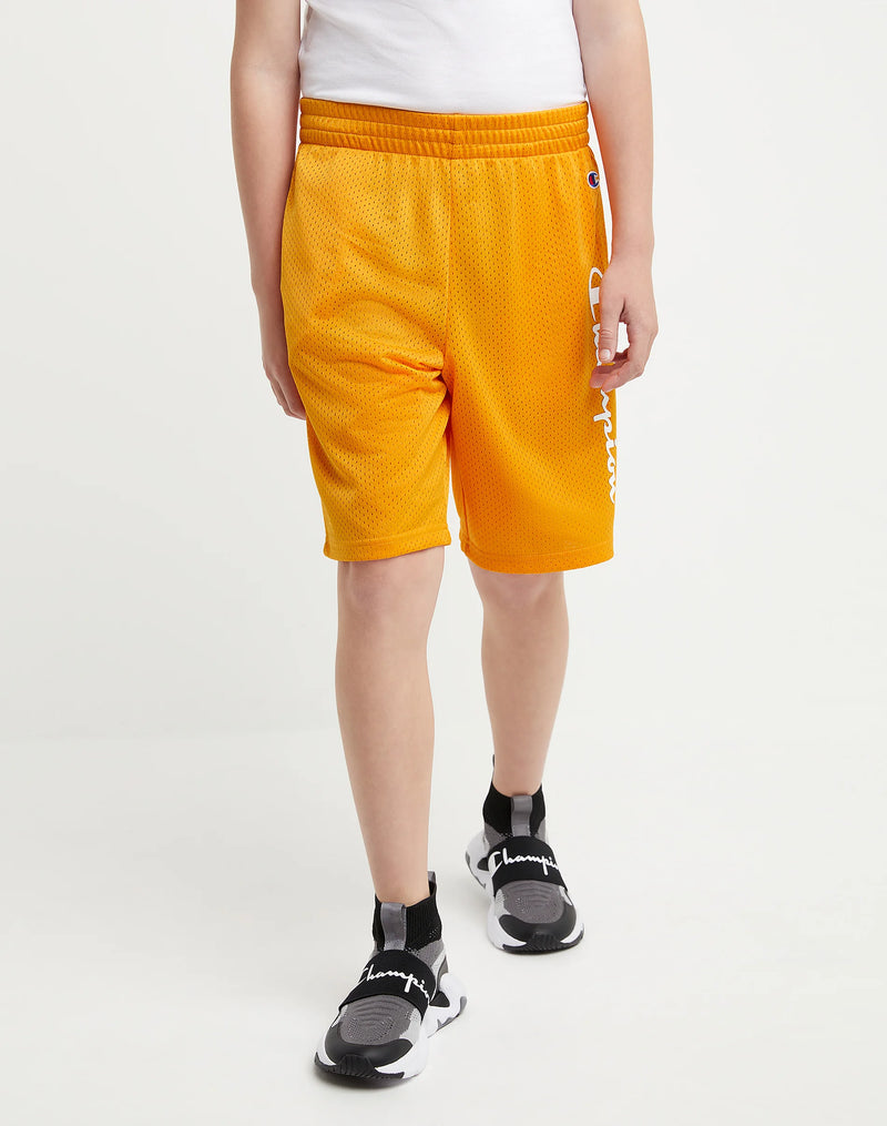 BIG KIDS' MESH SHORTS, VERTICAL SCRIPT, 8"