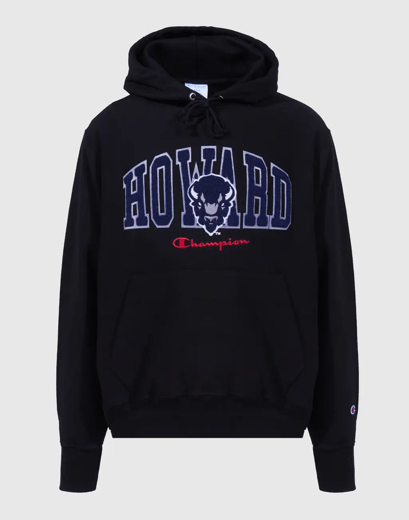 REVERSE WEAVE HOODIE, HOWARD BISON