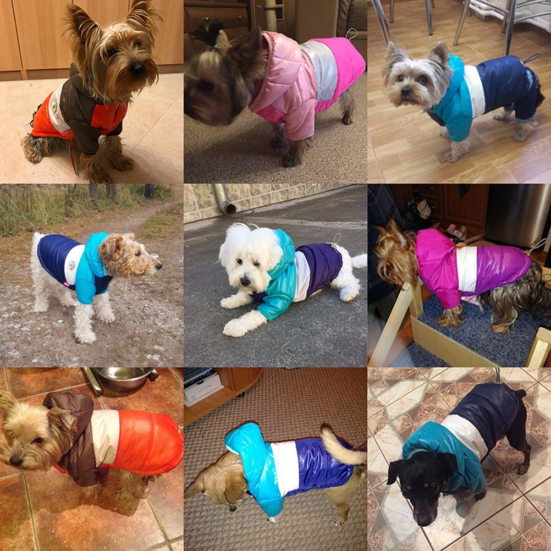 Pet Hooded Winter Warm Coat Dogs Waterproof Clothes Jacket