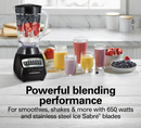 Hamilton Beach Smoothie Blender | Model