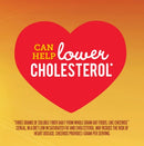 Honey Nut Cheerios Heart Healthy Cereal, 18.8 OZ Family Size Box