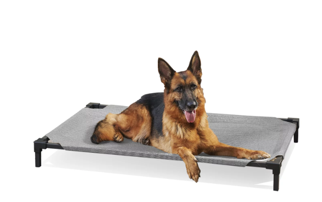 Coolaroo Large Elevated Pet Bed Pro - Steel