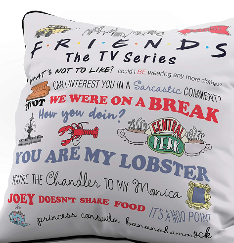 Friends Quotable 15"x15" Grey Decorative Throw Pillow Cover, 1 Piece Included