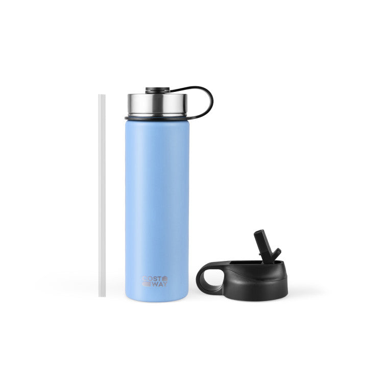 22 Oz Double-walled Insulated Stainless Steel Water Bottle with Straw Lid