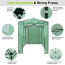 6'x 8' Portable Walk-in Greenhouse Pop-Up Folding Plant Gardening W/Window GT3563GN