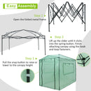 6'x 8' Portable Walk-in Greenhouse Pop-Up Folding Plant Gardening W/Window GT3563GN