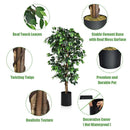 6 Ft Artificial Ficus Silk Tree Home Living Room Office Decor Wood Trunks