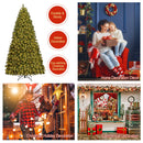 Pre-Lit PVC Christmas Tree 8Ft Spruce Hinged 880 LED Lights CM20716